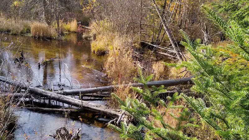 South Boardman Nature Preserve - South Boardman,