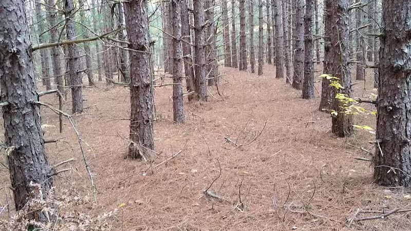 South Boardman Nature Preserve - South Boardman,