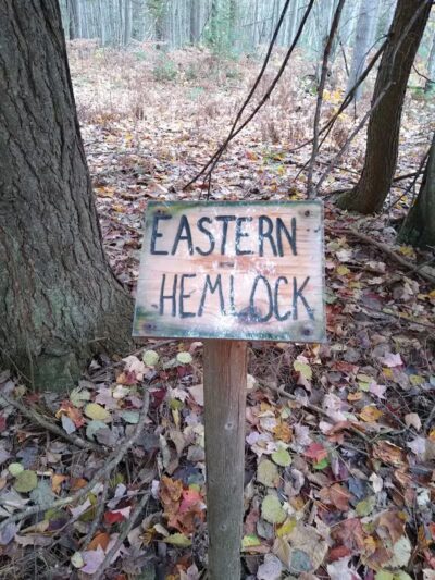 South Boardman Nature Preserve - South Boardman,