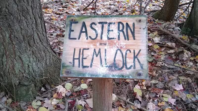 South Boardman Nature Preserve - South Boardman,