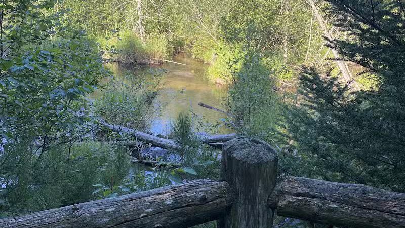 South Boardman Nature Preserve - South Boardman,