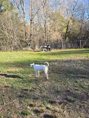 Farrell Park - South Burlington, VT