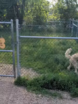 Farrell Park Dog Park - South Burlington, VT