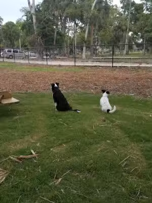 Reed Canal Park - South Daytona, FL