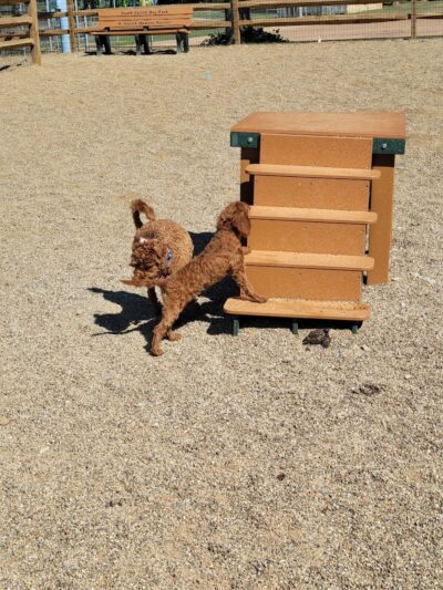 South Euclid Dog Park - South Euclid, OH