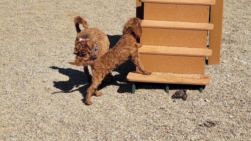 South Euclid Dog Park - South Euclid, OH