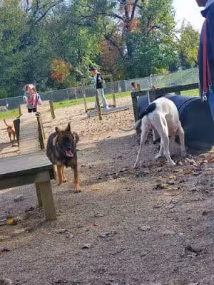 South Euclid Dog Park - South Euclid, OH