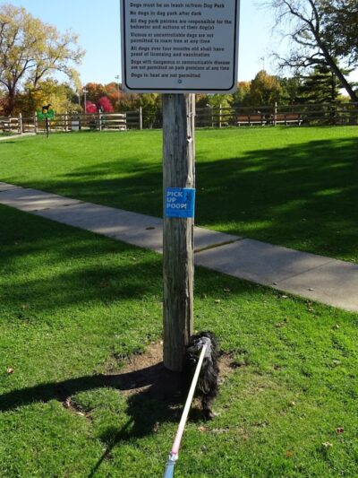 South Euclid Dog Park - South Euclid, OH