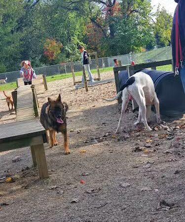 South Euclid Dog Park - South Euclid, OH