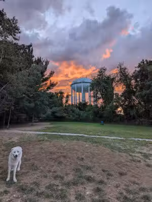 Friends of South Hadley Dog Park - South Hadley, MA