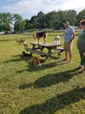 South Haven Dog Park - South Haven, MI