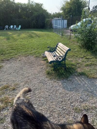 South Haven Dog Park - South Haven, MI