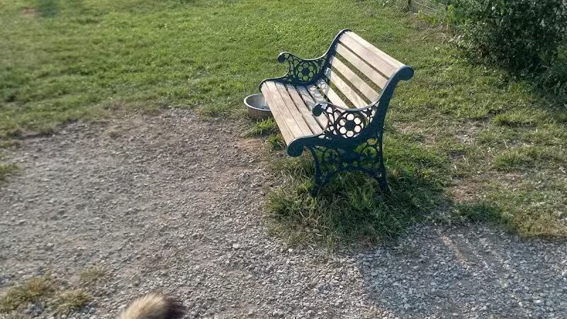 South Haven Dog Park - South Haven, MI