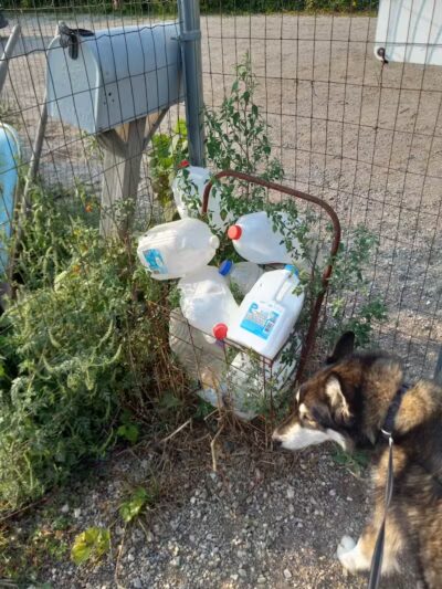 South Haven Dog Park - South Haven, MI