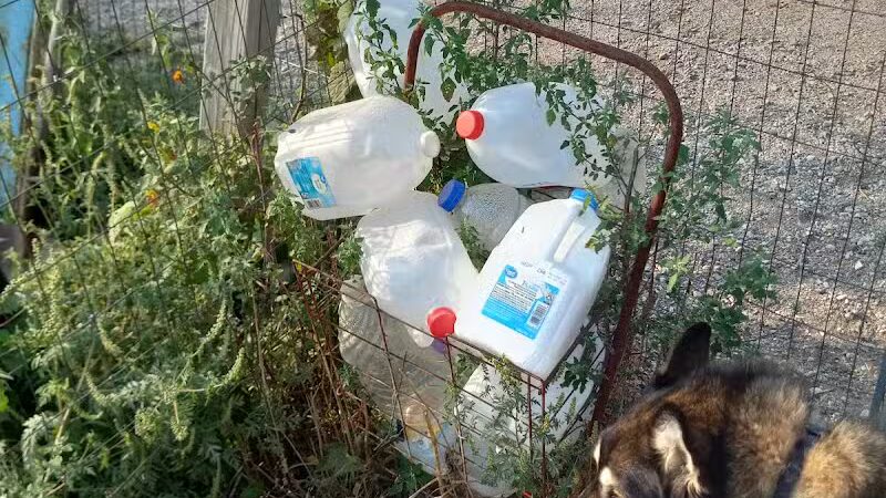 South Haven Dog Park - South Haven, MI