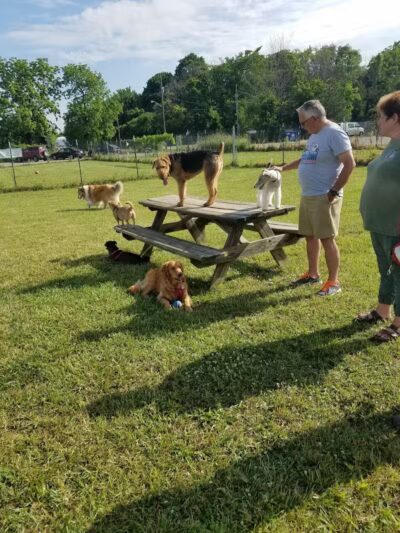 South Haven Dog Park - South Haven, MI