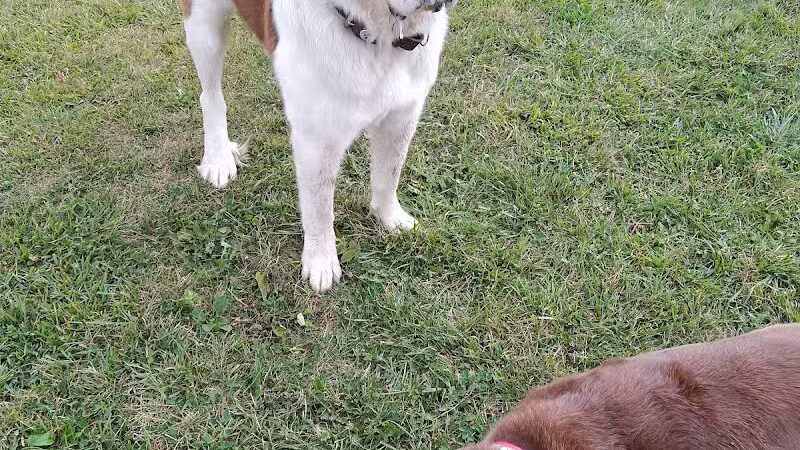 South Haven Dog Park - South Haven, MI