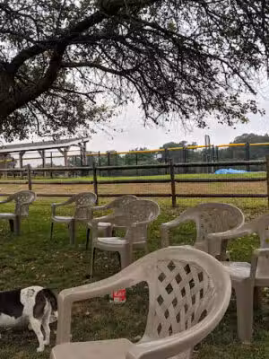 South Kingstown Dog Park - South Kingstown, RI