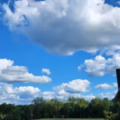 Colman Park - South Lyon,