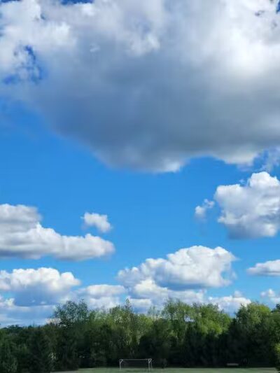 Colman Park - South Lyon,