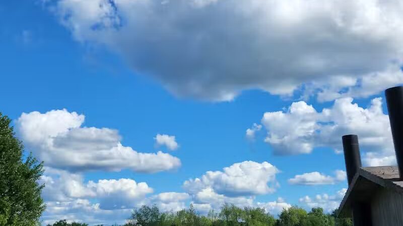 Colman Park - South Lyon,