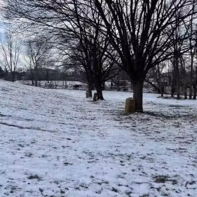 McHattie Park - South Lyon,