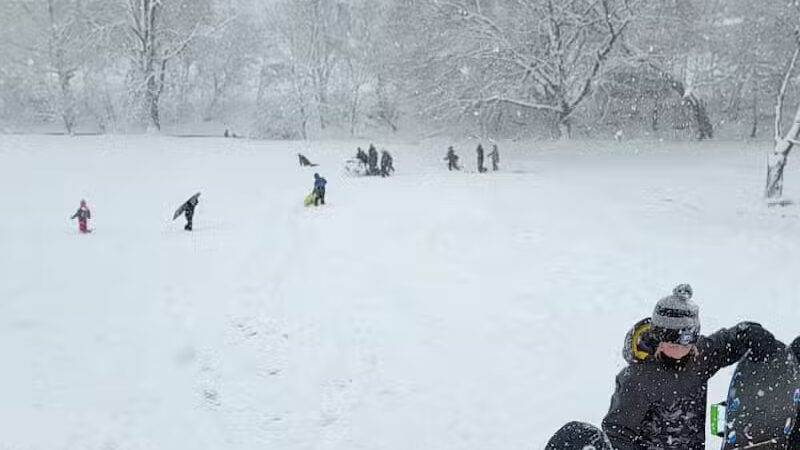 McHattie Park - South Lyon,