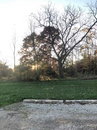 Volunteer Park - South Lyon,