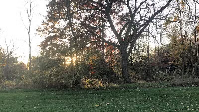 Volunteer Park - South Lyon,