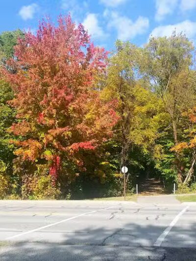 Volunteer Park - South Lyon,