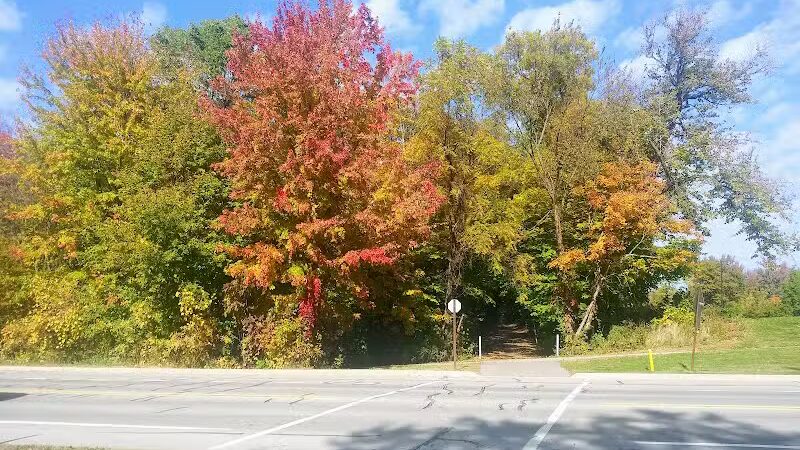 Volunteer Park - South Lyon,
