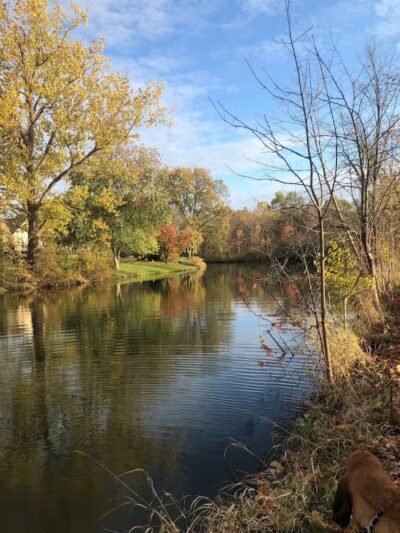 Volunteer Park - South Lyon,