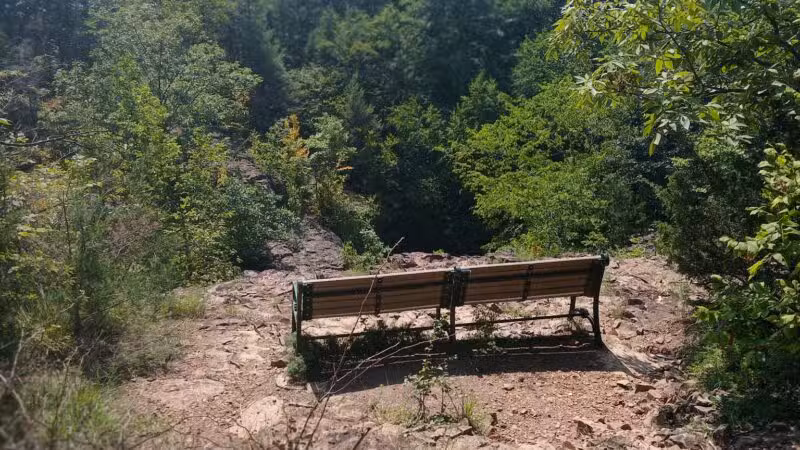 Hemlock Falls - South Orange Village, NJ