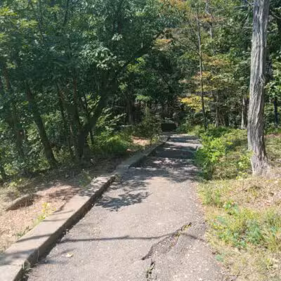 Hemlock Falls - South Orange Village, NJ