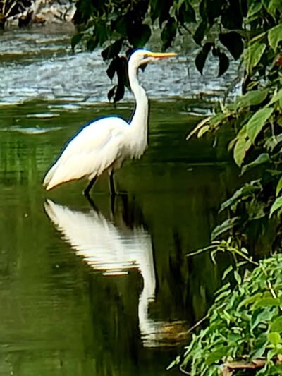 Meadowland Park - South Orange Village, NJ