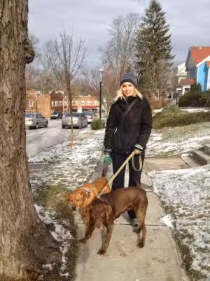 Silver Hound Dog Walking & Cat Sitting - South Orange Village, NJ
