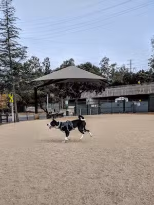 South Pawsadena Dog Park - South Pasadena, CA
