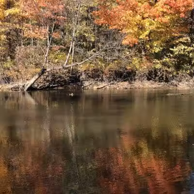 Dodge Park - South Rockwood,