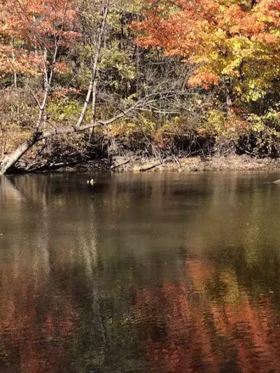 Dodge Park - South Rockwood,