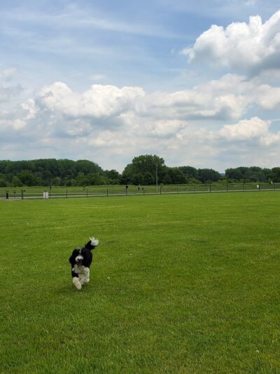Kaposia Landing - South St Paul, MN