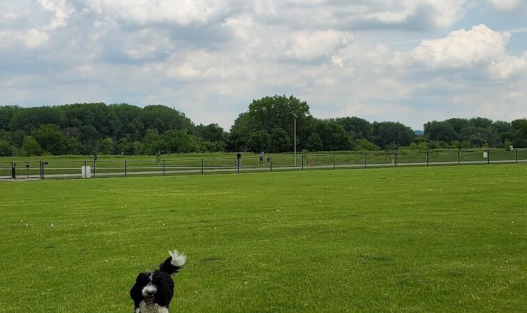 Kaposia Landing - South St Paul, MN