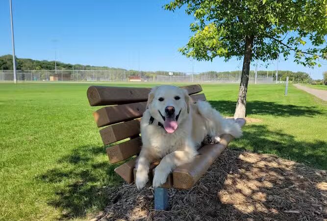 Kaposia Landing - South St Paul, MN