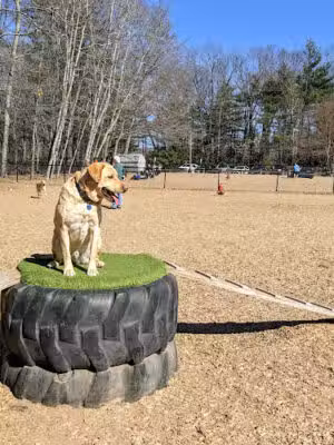 South Windsor Bark Park - South Windsor, CT