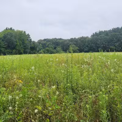 South Windsor Bark Park - South Windsor, CT