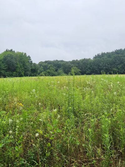 South Windsor Bark Park - South Windsor, CT
