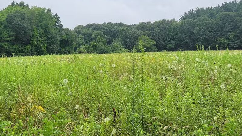 South Windsor Bark Park - South Windsor, CT