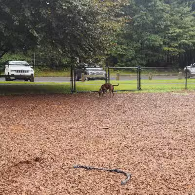 South Windsor Bark Park - South Windsor, CT