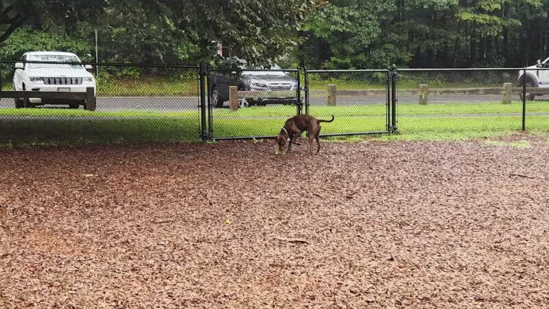 South Windsor Bark Park - South Windsor, CT