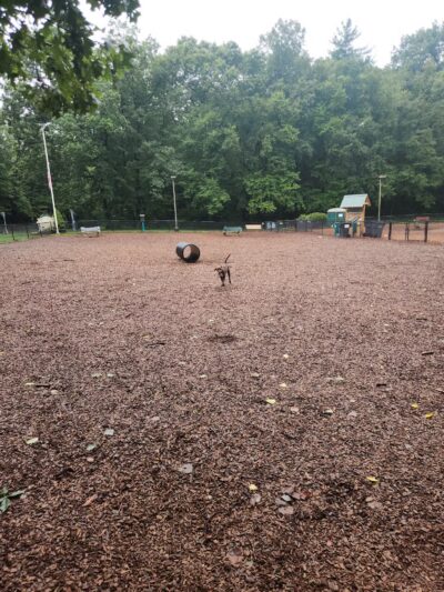 South Windsor Bark Park - South Windsor, CT