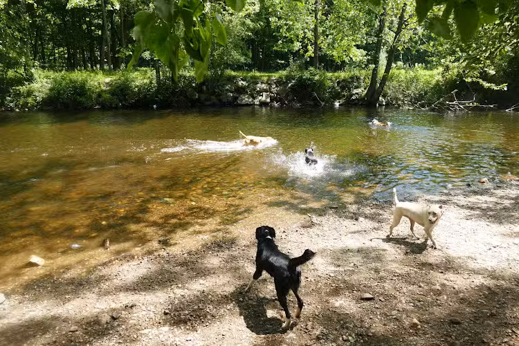 Southbury Dog Park - Southbury, CT